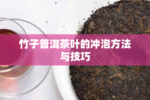 竹子普洱茶叶的冲泡方法与技巧