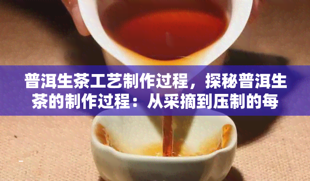 普洱生茶工艺制作过程，探秘普洱生茶的制作过程：从采摘到压制的每一个步骤