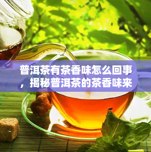 普洱茶有茶香味怎么回事，揭秘普洱茶的茶香味来源
