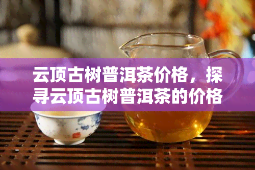 云顶古树普洱茶价格，探寻云顶古树普洱茶的价格，品味古老与现代的交融