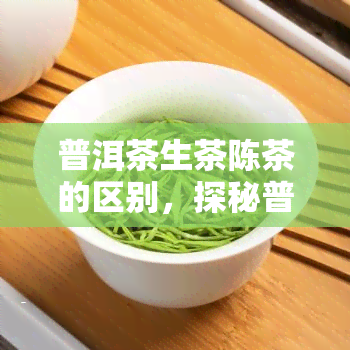 普洱茶生茶陈茶的区别，探秘普洱茶生茶与陈茶的差异：口感、香气和收藏价值的比较