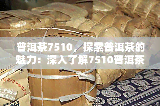 普洱茶7510，探索普洱茶的魅力：深入了解7510普洱茶的制作工艺和品尝技巧