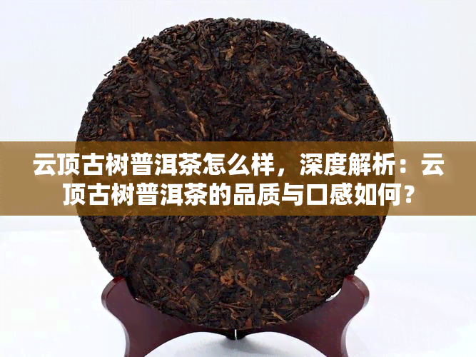 云顶古树普洱茶怎么样，深度解析：云顶古树普洱茶的品质与口感如何？