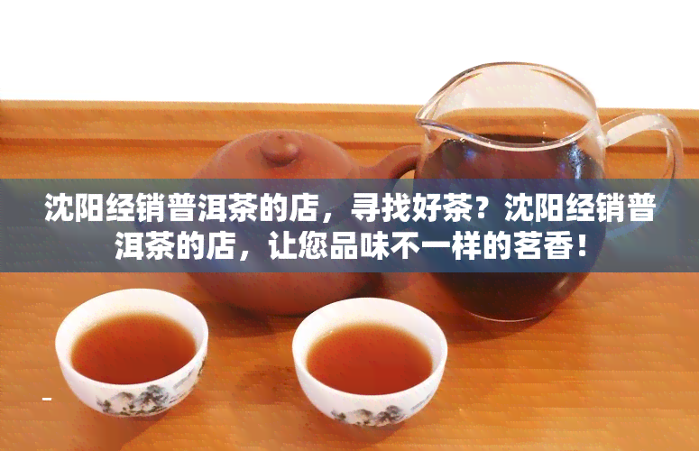 沈阳经销普洱茶的店，寻找好茶？沈阳经销普洱茶的店，让您品味不一样的茗香！