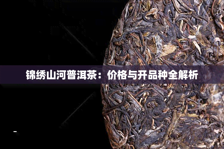 锦绣山河普洱茶：价格与开品种全解析