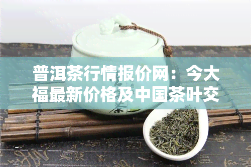 普洱茶行情报价网：今大福最新价格及中国茶叶交易网信息