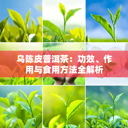 乌陈皮普洱茶：功效、作用与食用方法全解析
