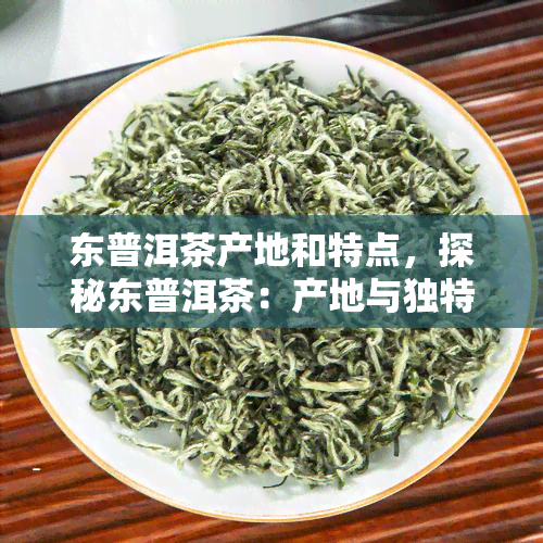 东普洱茶产地和特点，探秘东普洱茶：产地与独特特点解析