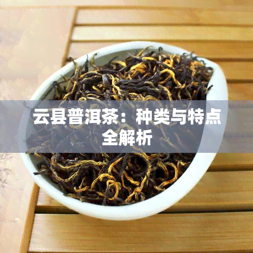 云县普洱茶：种类与特点全解析