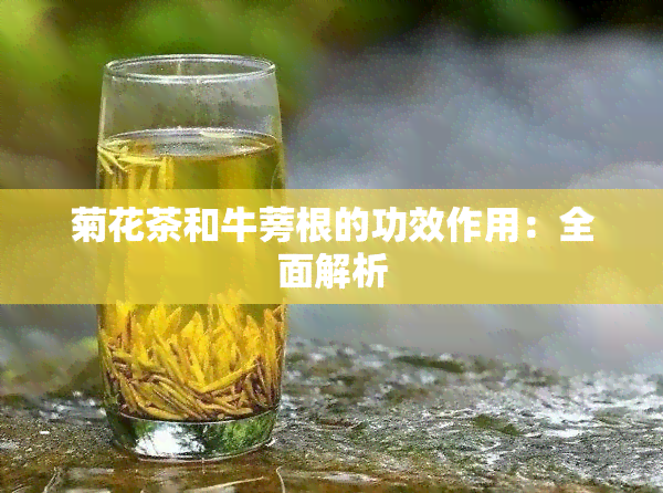 菊花茶和牛蒡根的功效作用：全面解析