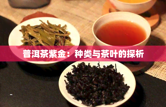 普洱茶紫金：种类与茶叶的探析