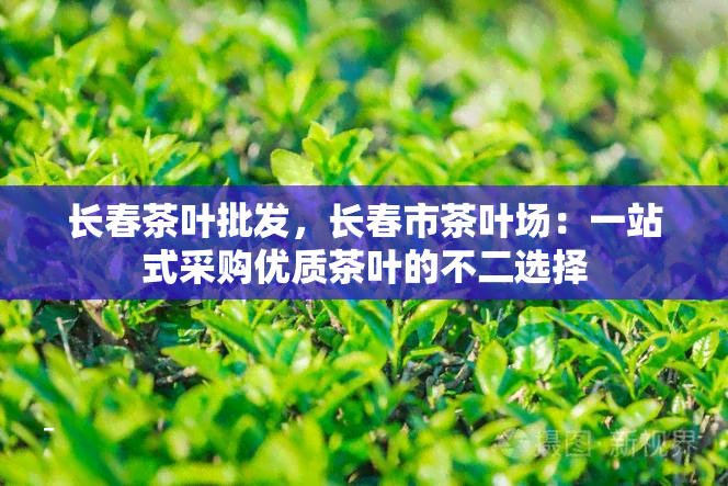 长春茶叶批发，长春市茶叶场：一站式采购优质茶叶的不二选择