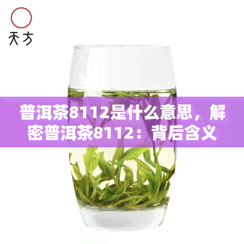 普洱茶8112是什么意思，解密普洱茶8112：背后含义和价值探讨