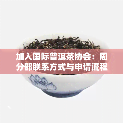 加入国际普洱茶协会：周分部联系方式与申请流程