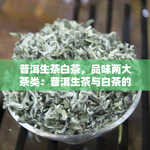 普洱生茶白茶，品味两大茶类：普洱生茶与白茶的异同之处