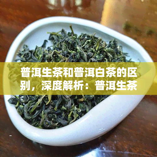 普洱生茶和普洱白茶的区别，深度解析：普洱生茶与白茶的五大区别