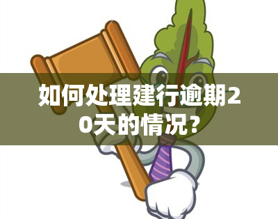 如何处理建行逾期20天的情况？