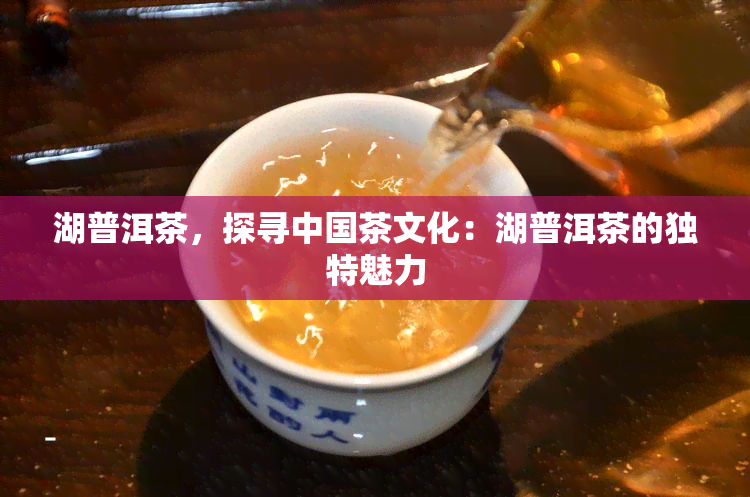 湖普洱茶，探寻中国茶文化：湖普洱茶的独特魅力
