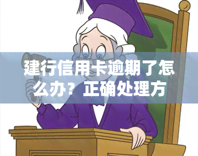 建行信用卡逾期了怎么办？正确处理方法全攻略！