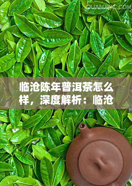 临沧陈年普洱茶怎么样，深度解析：临沧陈年普洱茶的口感与品质特点