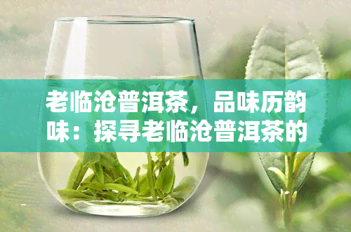 老临沧普洱茶，品味历韵味：探寻老临沧普洱茶的独特魅力