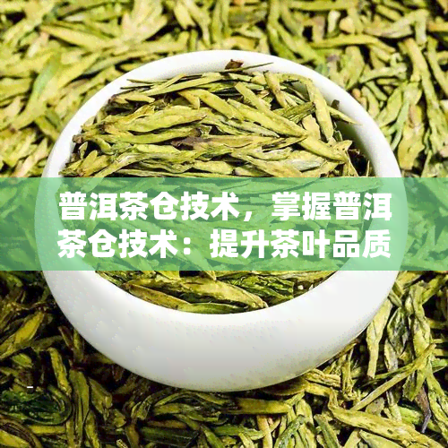 普洱茶仓技术，掌握普洱茶仓技术：提升茶叶品质的关键步骤