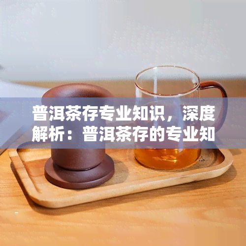 普洱茶存专业知识，深度解析：普洱茶存的专业知识与技巧