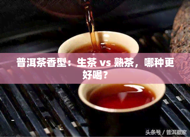 普洱茶香型：生茶 vs 熟茶，哪种更好喝？