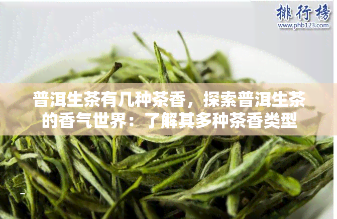 普洱生茶有几种茶香，探索普洱生茶的香气世界：了解其多种茶香类型