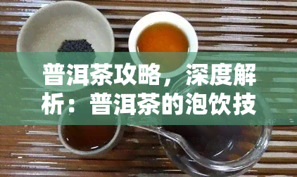普洱茶攻略，深度解析：普洱茶的泡饮技巧与品鉴指南