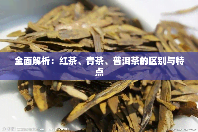 全面解析：红茶、青茶、普洱茶的区别与特点