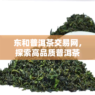 东和普洱茶交易网，探索高品质普洱茶：东和普洱茶交易网，您的茶叶专家
