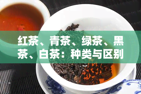 红茶、青茶、绿茶、黑茶、白茶：种类与区别全解析