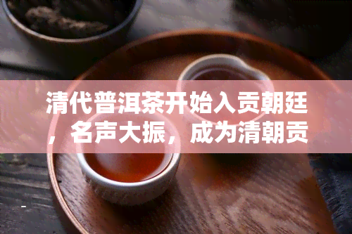 清代普洱茶开始入贡朝廷，名声大振，成为清朝贡茶的主要产地。