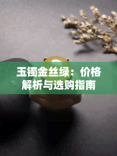 玉镯金丝绿：价格解析与选购指南