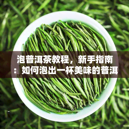 泡普洱茶教程，新手指南：如何泡出一杯美味的普洱茶？