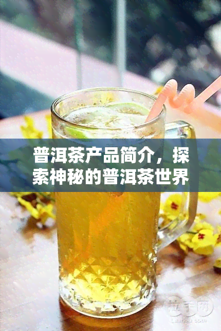 普洱茶产品简介，探索神秘的普洱茶世界：产品简介与品鉴指南