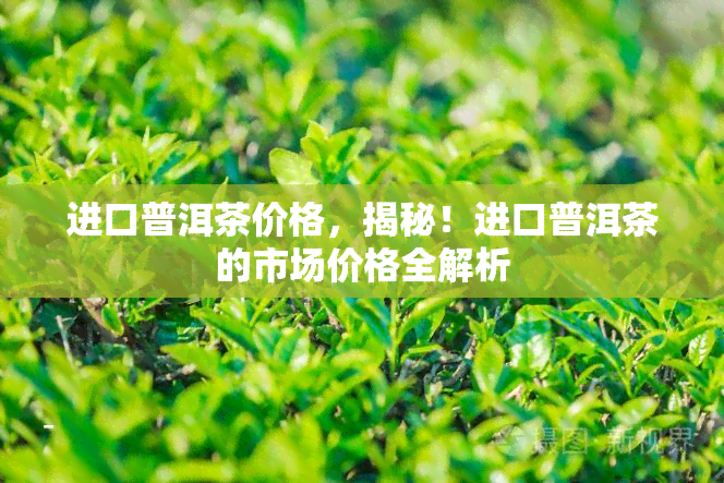 进口普洱茶价格，揭秘！进口普洱茶的市场价格全解析