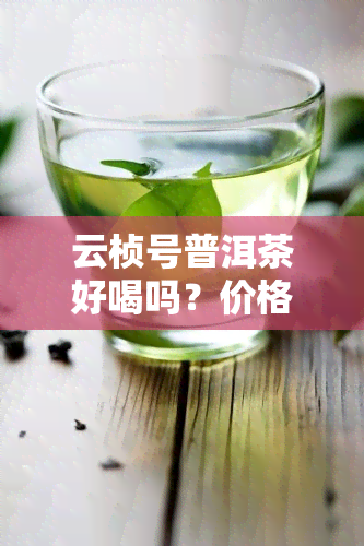 云桢号普洱茶好喝吗？价格多少？全面评测来啦！