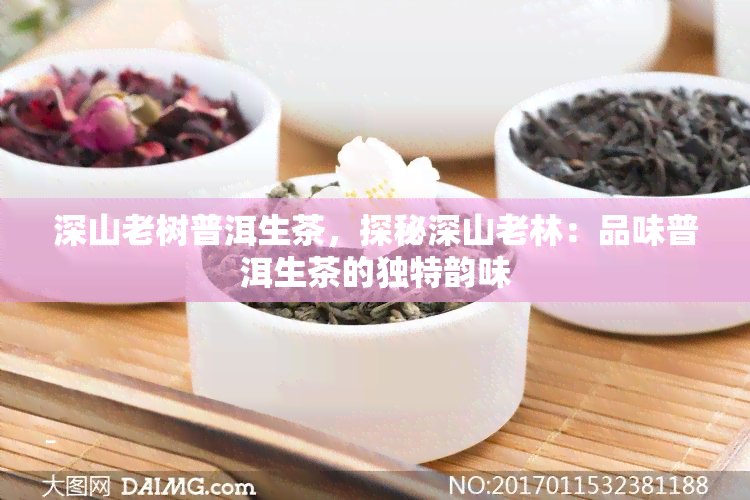 深山老树普洱生茶，探秘深山老林：品味普洱生茶的独特韵味