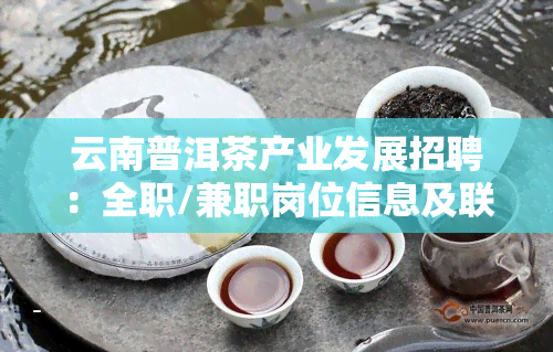 云南普洱茶产业发展招聘：全职/兼职岗位信息及联系方式