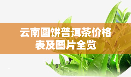 云南圆饼普洱茶价格表及图片全览