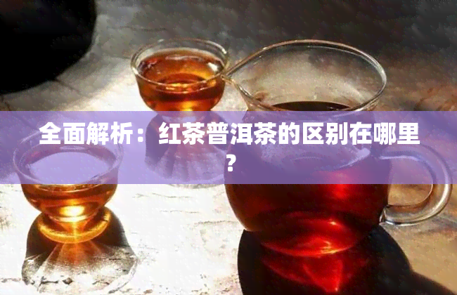 全面解析：红茶普洱茶的区别在哪里？
