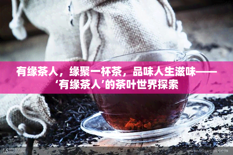 有缘茶人，缘聚一杯茶，品味人生滋味——‘有缘茶人’的茶叶世界探索