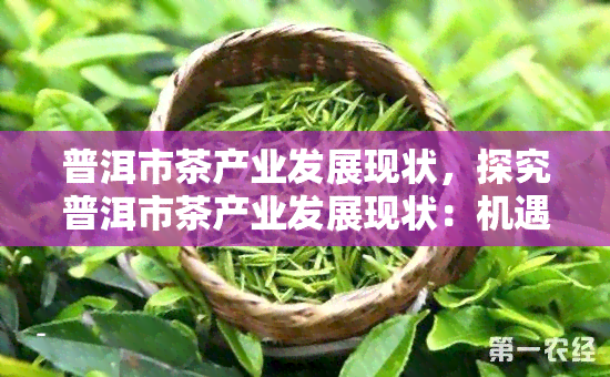 普洱市茶产业发展现状，探究普洱市茶产业发展现状：机遇与挑战并存