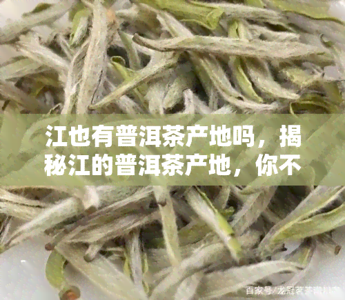 江也有普洱茶产地吗，揭秘江的普洱茶产地，你不知道的历和故事