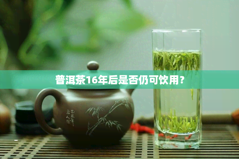 普洱茶16年后是否仍可饮用？