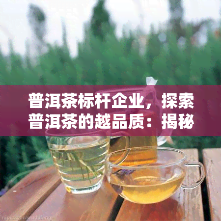 普洱茶标杆企业，探索普洱茶的越品质：揭秘普洱茶标杆企业的制茶工艺与文化传承