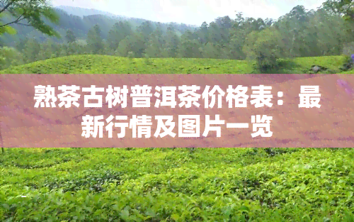 熟茶古树普洱茶价格表：最新行情及图片一览