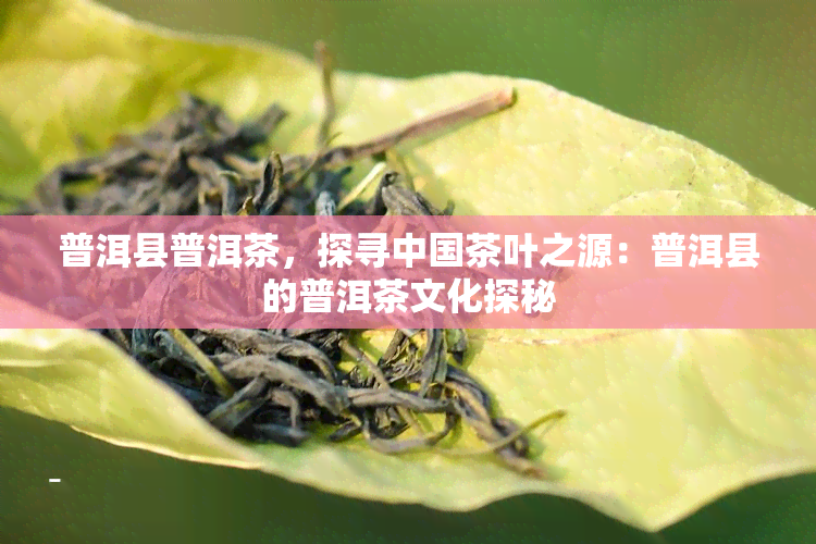 普洱县普洱茶，探寻中国茶叶之源：普洱县的普洱茶文化探秘